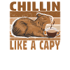 Wasserschwein Capybara Cappybara Kaffee Coffee