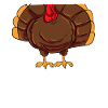 Turkey Costume Thanksgiving Turkey