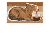 Capybara Capybara Coffee Cappybara Fans