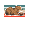 Capybara Capybara Amis Capy Cappybara