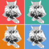 cat4