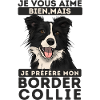 je préfère mon Border collie 1