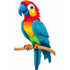 Cute Parrot