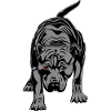 Pitbull