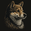Shiba Inu Dog