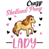 Shetland Pony Mrs. Shetty