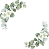 La mariée fleurs vertes