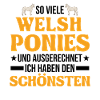 Welsh Pony Reiterin