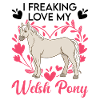 J’adore mon poney gallois