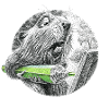 Beaver artist