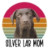 Silver Lab Mom