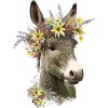 Donkey with flower wreath