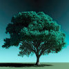 Zen tree n°3