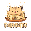 Pancats - funny pancake cat design