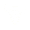 White bull skull