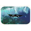 Manta Mantaray Mantarochen