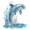 Jumping dolphin