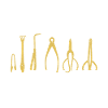 Bonsai Tree