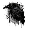 Black Crow