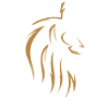 Roi Lion, Lion, Roi