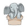 Elephant Cardboard Box