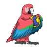 Parrot Handball Player Handball
