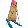 Suricate Skieur Ski