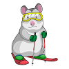 Hamster Skier Ski