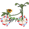 Eco-friendly flower bike