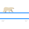 Svalbard Spitsbergen Norvegia coordinate Orso polare