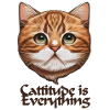 Cattitude is Everything