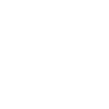 Havanese Home Without Havanese