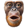 Funny Monkey T-Shirt