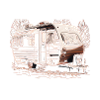 la vie est courte