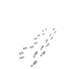Never walk alone - Hund Gassi Geschenk