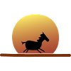 Horse in the sunset