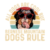 Bernese Mountain Dog