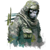 Gorilla - Soldier