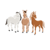Poney joie chevaux m’amènent