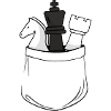 Chess in your pocket
