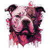 American Staffordshire Terrier