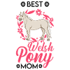 Meilleure maman poney galloise