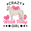 Poney fille galloise folle