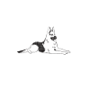 Cadeaux de berger allemand