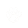 Dog Mom, Dog Mama