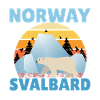 Norge Svalbard Spetsbergen Norrsken isbjörn