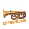 Euphonium Euphoniumspieler Blechbläser Euphonist