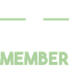 Bachelor Team
