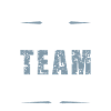 Cricket Team