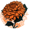 Orange Flower Gift